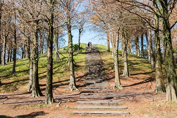 羅東運動公園的水岸與綠地
